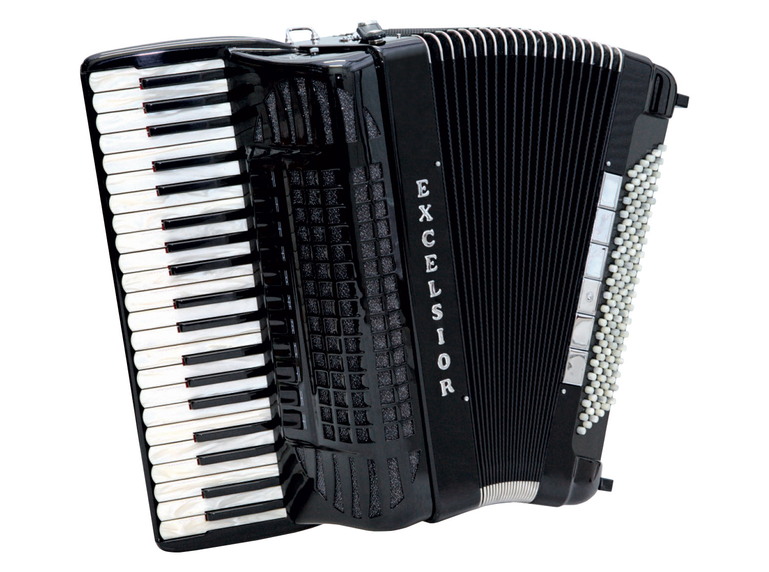 Professional accordion on sale